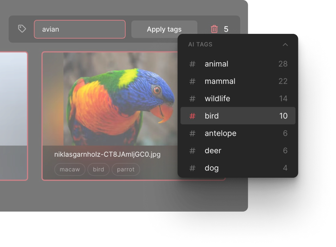 Raster | Powerful, next-gen image manager